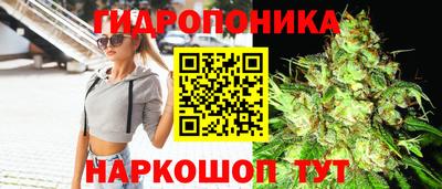 ПСИЛОЦИБИНОВЫЕ ГРИБЫ Малгобек