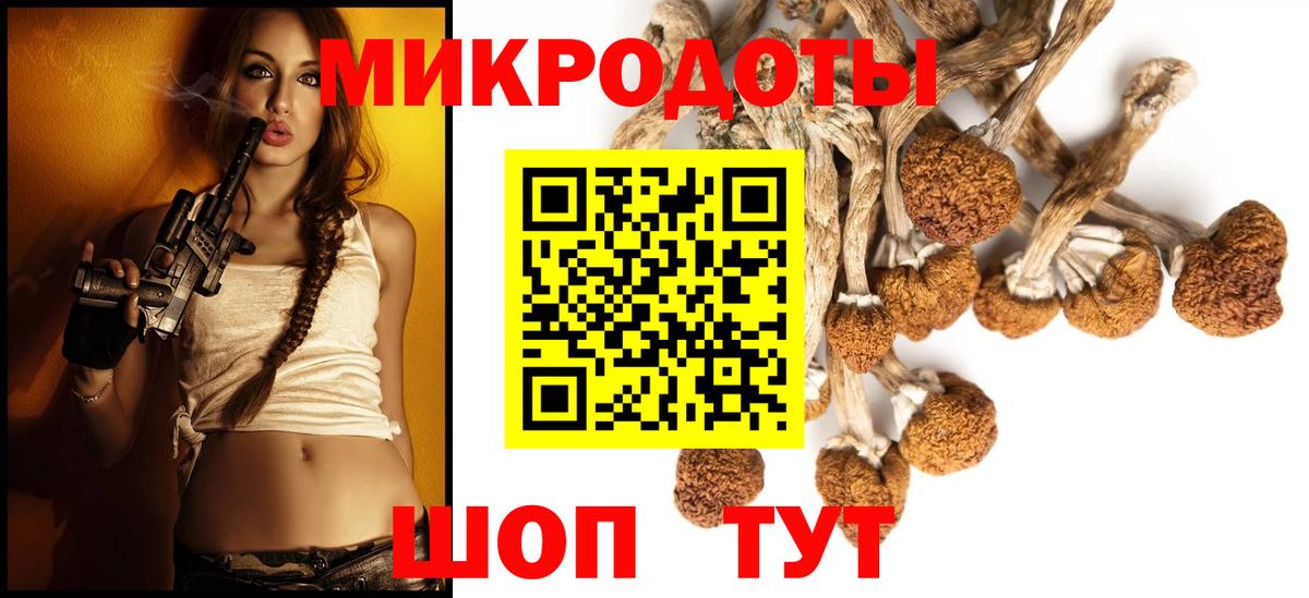 как найти наркотики  Псилоцибиновые грибы прущие грибы  Вход с VPN  Ярцево  Галлюциногенные грибы Cubensis 