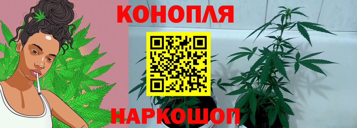Конопля THC 21%  Вход с VPN  Конопля ГИДРОПОН  Ярцево  МАРИХУАНА MAZAR 